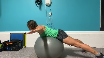 Stability Ball Cobra