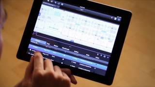 bluebeam revu ipad: markups list