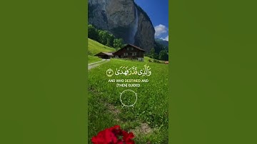 📖سورة الأعلى 🎙️عبد الرحمن مسعد