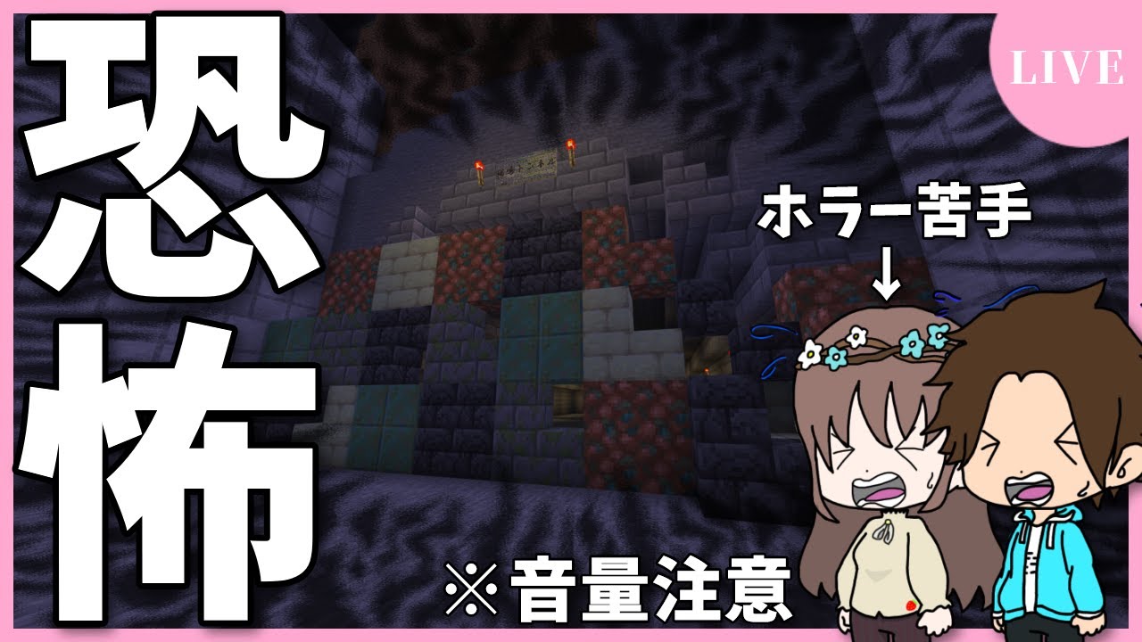 睨む猫 河川敷にて YouTube