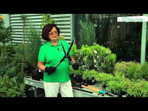 Video: Informacija apie sodo įrankius: būtini sodo ir vejos priežiūros įrankiai