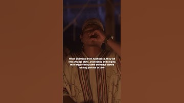Icaros - The Healing Songs of an Ayahuasca Retreat 🦋