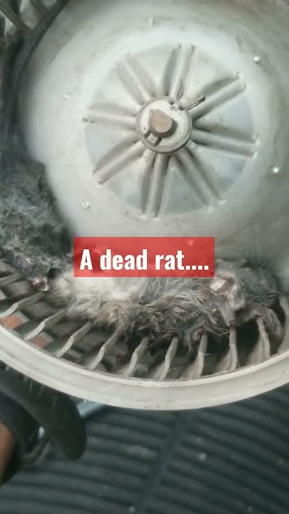 car-ac-smells-bad-youtube