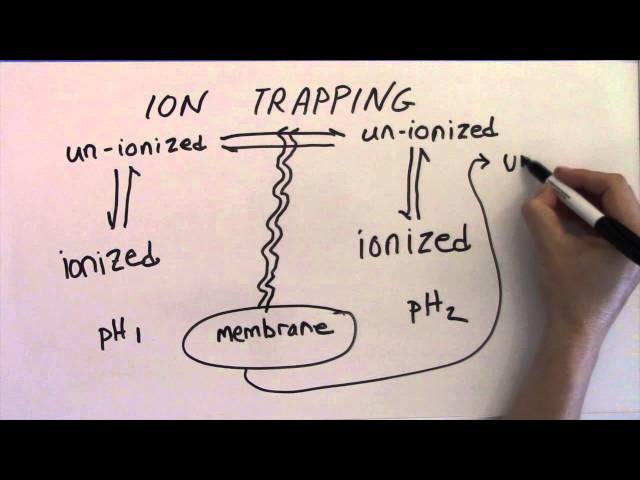 Introduction to Trapping