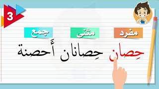 تعلم المفرد والمثنى والجمع باللغة العربية | 3 |