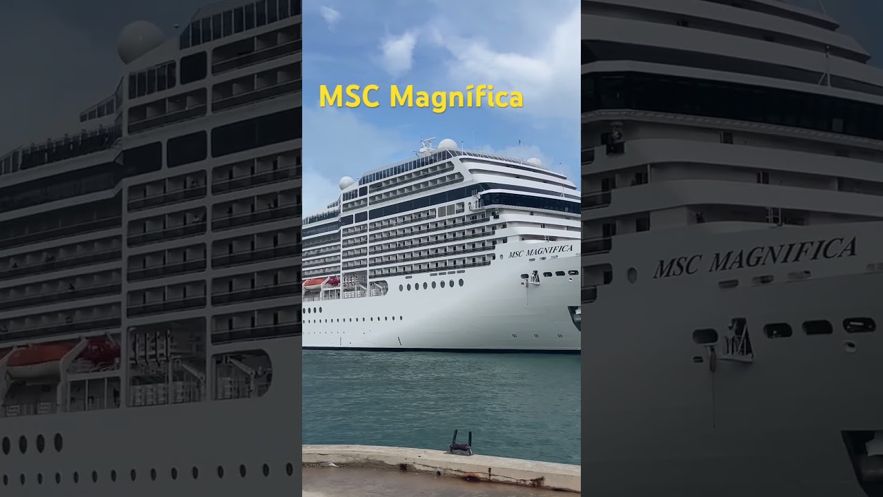 MSC MAGNÍFICA 