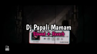 DJ PAPALI MAMAM - Slowed   Reverb🎧