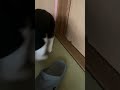 何処行くん🏃