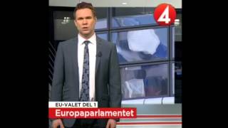 Allt du behöver veta om EU-valet - Del 1: Europaparlamentet