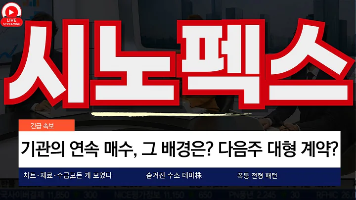 바닥권에서 꿈틀… 시노펙스의 반전 시나리오