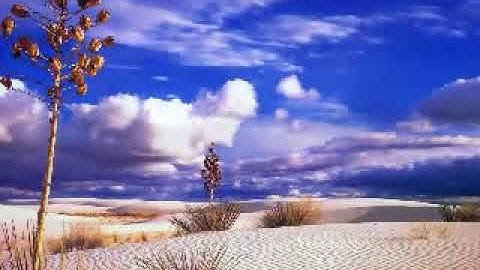 المقرئ المغربي الحجاج العلمي من مدينة طنجة سورة النازعات