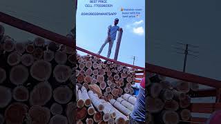 🪵MALABAR BUYERS WITH BEST PRICE #wood #youtubeshorts #share #like #business #youtubecreator