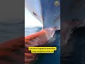 Mesin yang dapat membelah lautan es beku 😱 #faktaunik #kapal #icebreakers #antartica