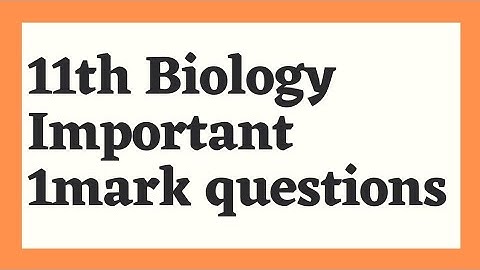 11th biology Important 1mark questions