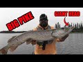 Pike Fishing a new Lake | Back to Back Tanks!