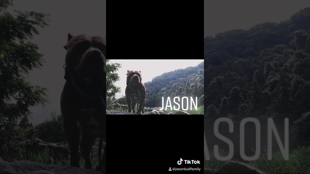 Jason camelot bloodline