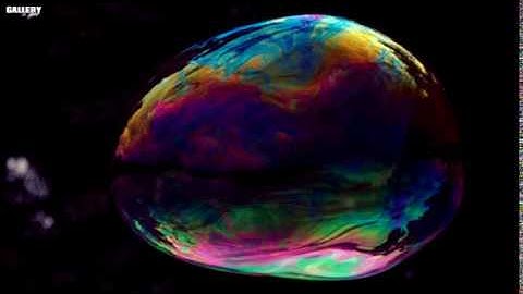 Sonic Entity - Assimilation