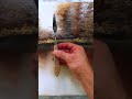 How to paint 🎨 beautiful 🤩 reflection #painting #acrylicpainting #acryliclandscape #artwork