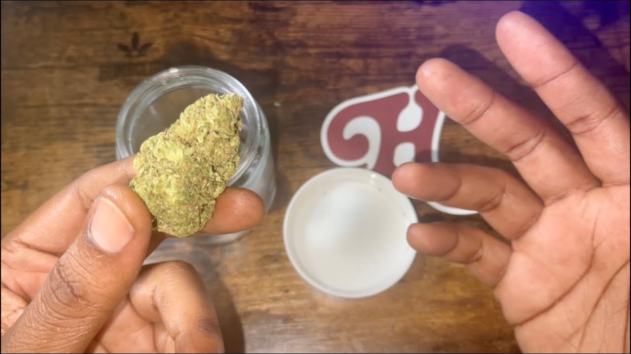 Lemon x Sour Diesel Strain 31%THC Review ! (Humboldts Finest Farms)