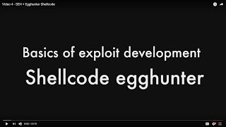 Video 4 - SEH Overflow + Egghunter Payload Net Worth