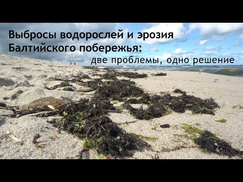 Видео: В чем проблема прибрежной эрозии?
