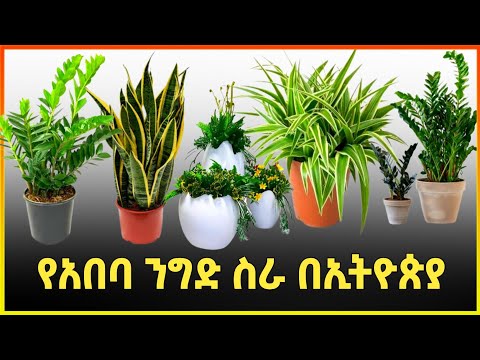 ቪዲዮ: Pokrovsky ገበያ በሞስኮ