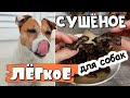 Как приготовить лёгкое для собак в духовке/Сушеные вкусняшки для собак своими руками