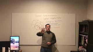 Spatial autocorrelation: spatial weights matrices