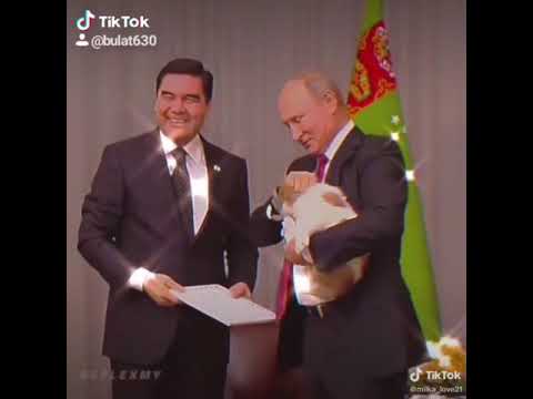 Путину Подарили щенка 😊 смотреть всем !