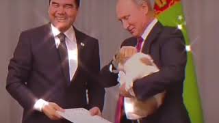 Путину Подарили щенка 😊 смотреть всем !
