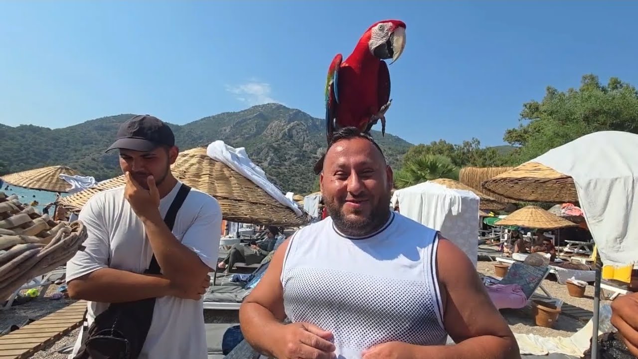 Bașıma Talih Kușu Kondu Ölüdeniz VloG