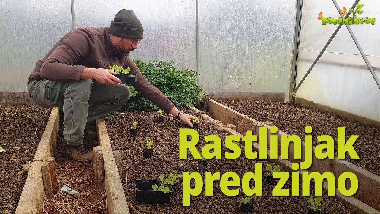 Rastlinjak pred zimo - zadnja opravila