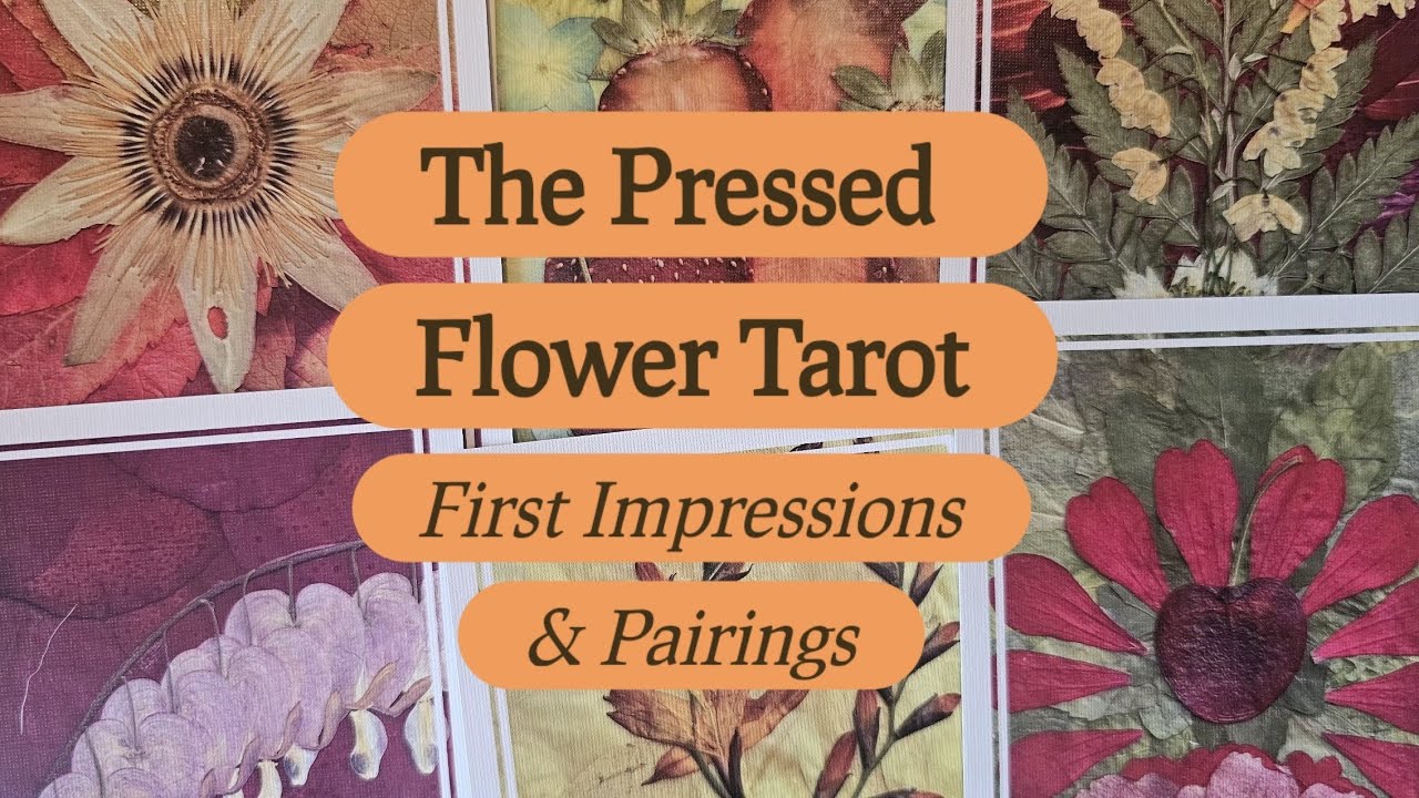 Таро «Засушенные цветы»: первые впечатления и сочетания карт 🌸 Новый инди-проект!