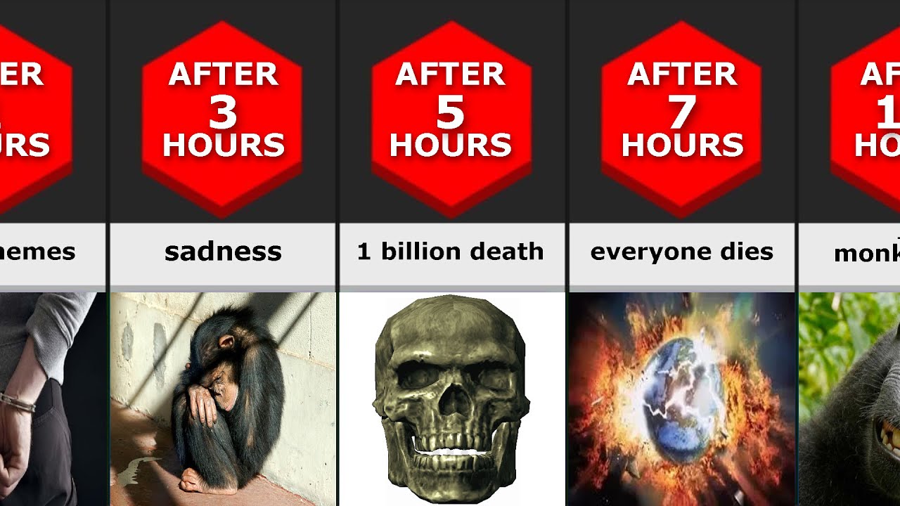 How Long Could You Survive Without Memes YouTube