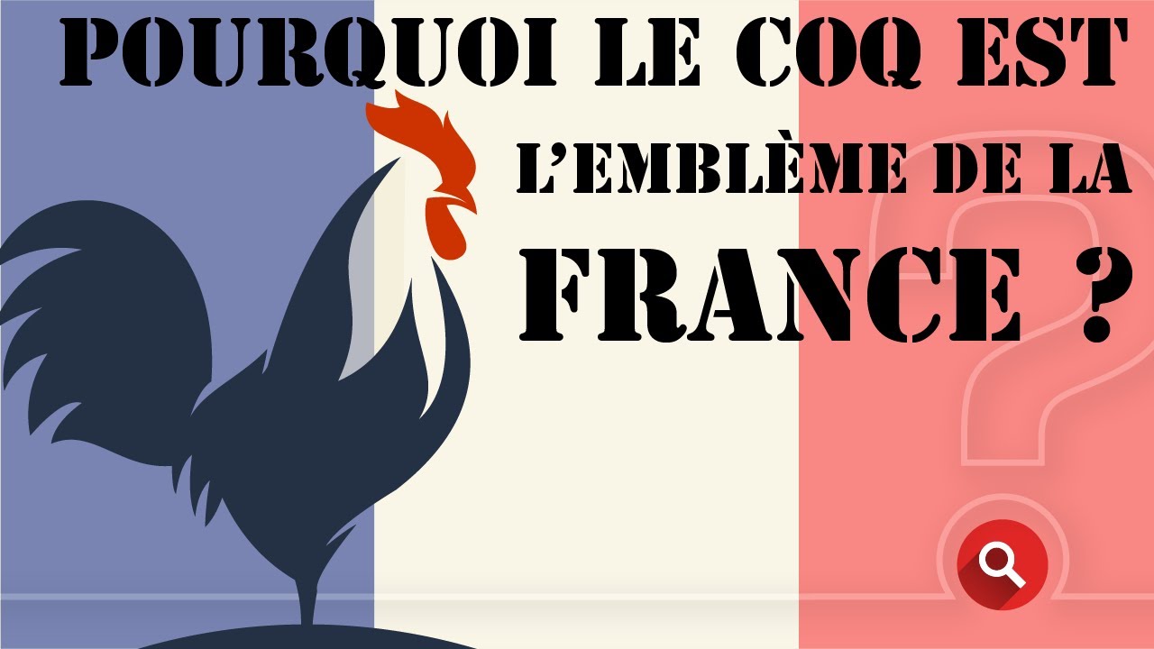 HISTOIRE : POURQUOI LE COQ EMBLÈME DE LA FRANCE ? (reportage