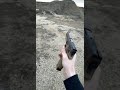 Sig Sauer P320 Mag Dump