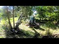 3 lot property clean up excavator bushhogging
