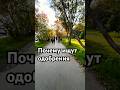 Почему ищут одобрения #личность #психология #безопасность