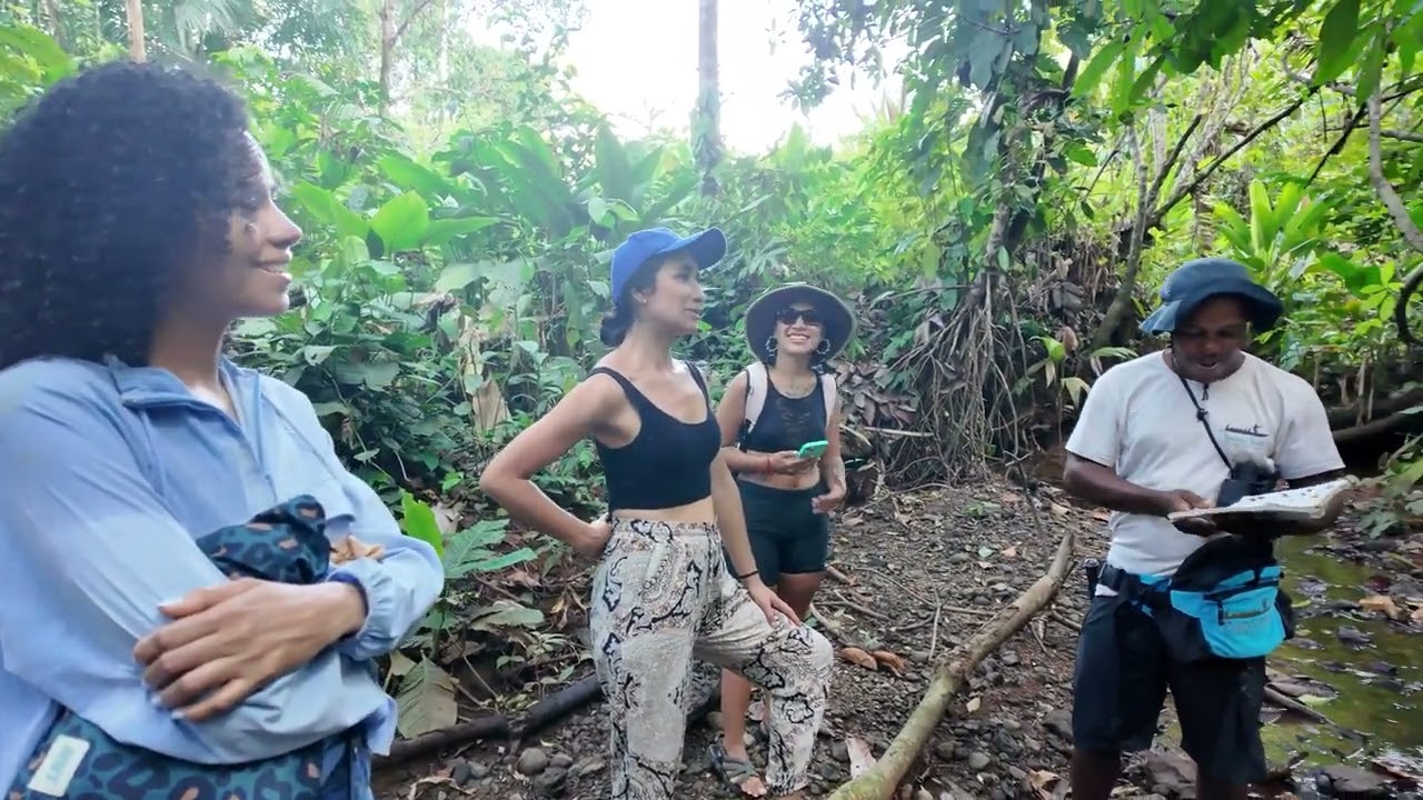 Bahia Solano, Colombia: A video postcard - YouTube