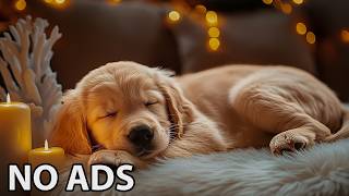 12 Hours Relaxing Music for Dogs 💖 Dog Calming Music – Dog Soft Background Sounds For Stress Relief screenshot 1