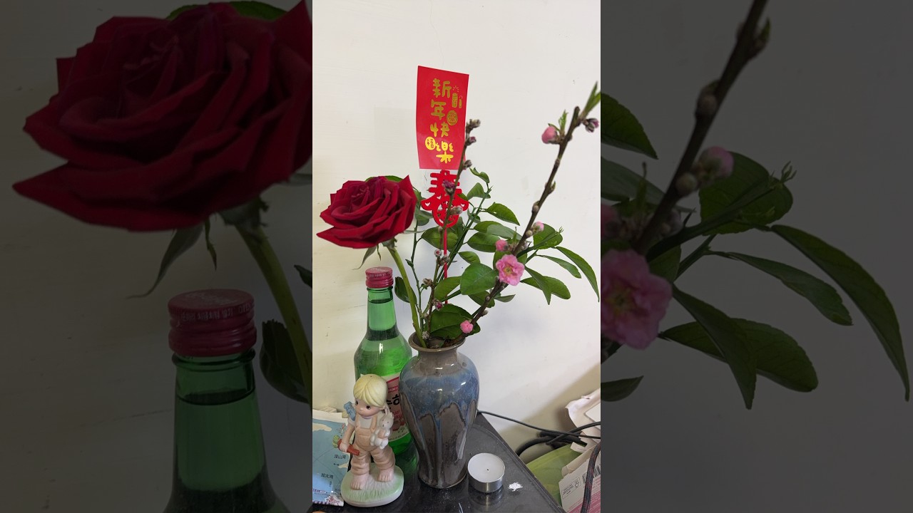 貓空的樟湖步道賞花趣