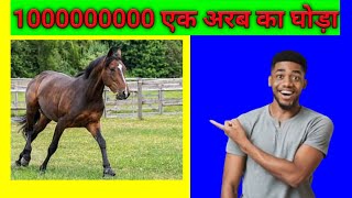 10 expensive animals in the world||1000000000 एक अरब का घोड़ा||Can you buy||Mysterious Facttechz