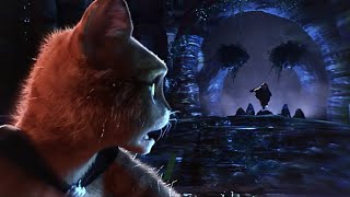 Runs Away From Death Puss In Boots