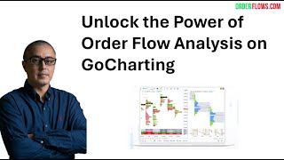 Unlock the Power of Order Flow Trading on GoCharting