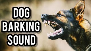 Top 5 Dog barking sound videos compilation 2023😯 #dog #animals