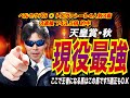 【天皇賞(秋)2025】この馬が現役最強馬です!!ここで王者になる馬は、この馬です!!適正もO.K【競馬予想/全頭診断】