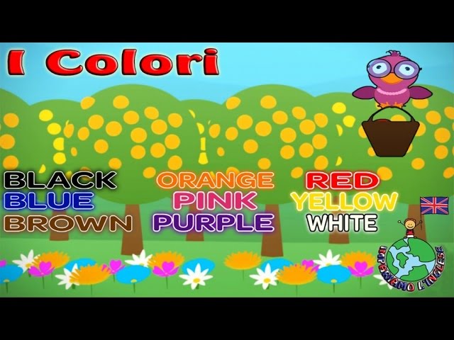 Impariamo L Inglese I Colori Con Little Bird Video Educativi E Divertenti Per Il Tuo Bambino Youtube