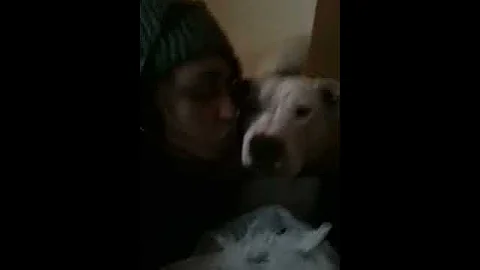 Nani showing her teeth.MOV