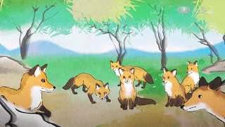 【證嚴法師說故事】20170702 - 狐狸報恩