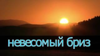 Колибри...